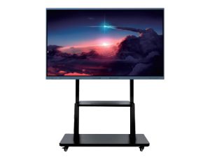 TENFLY Interactive Flat Panel Display