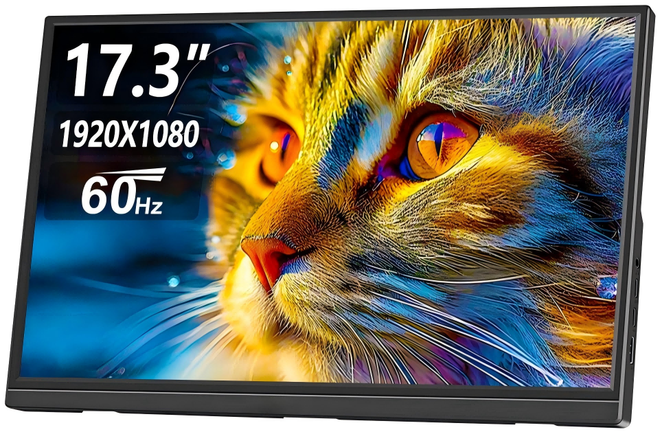 ALOLG 17.3 inch Protable Monitor